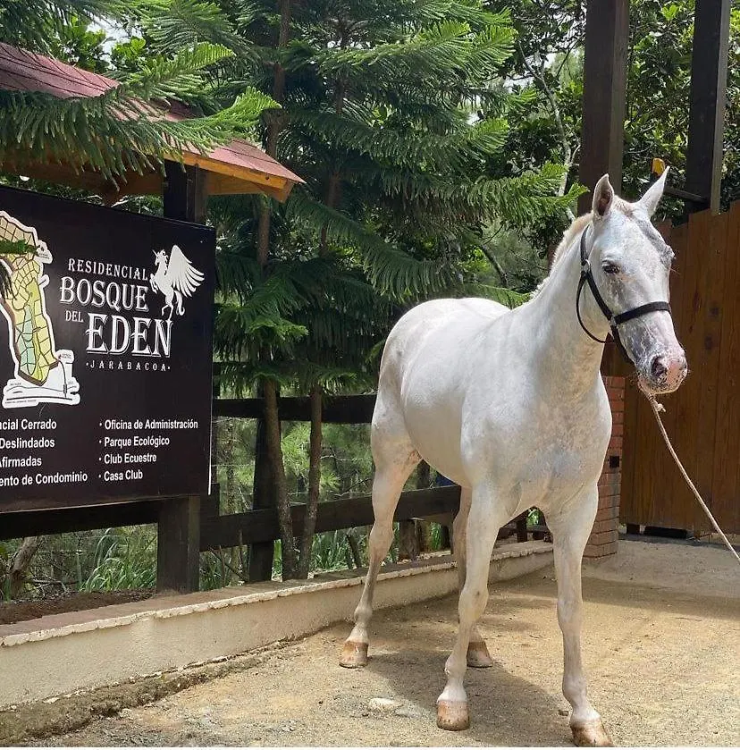 Villa Maya Rancho Eden Jarabacoa