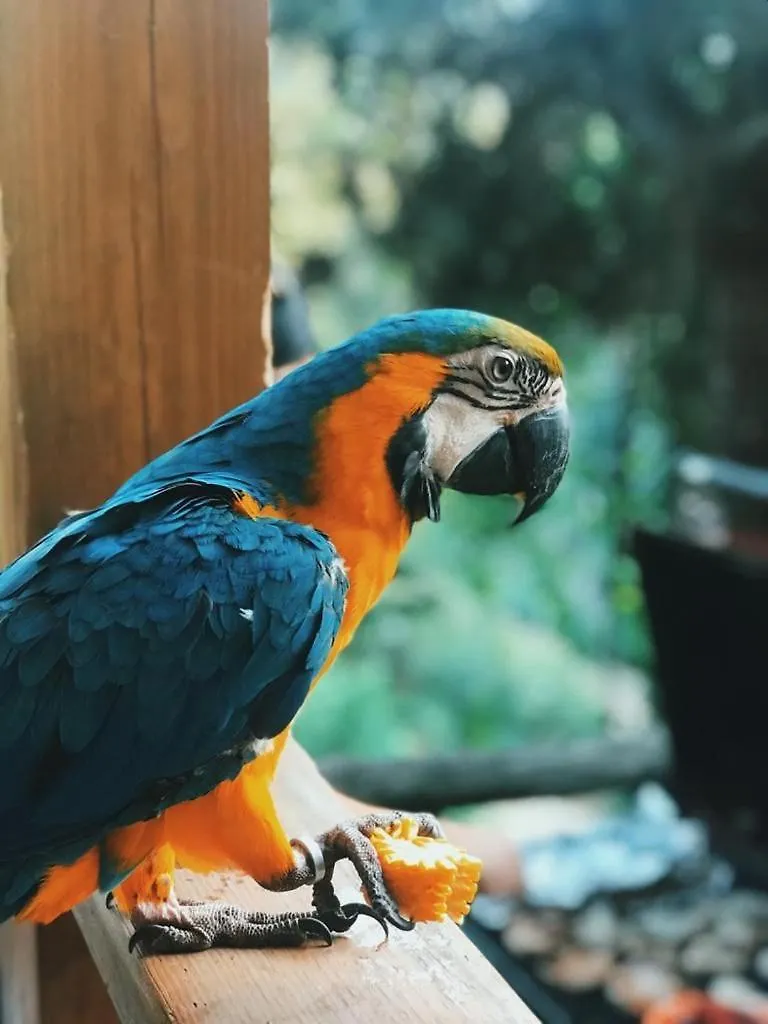 Villa Maya Rancho Eden Jarabacoa Dominikánská republika