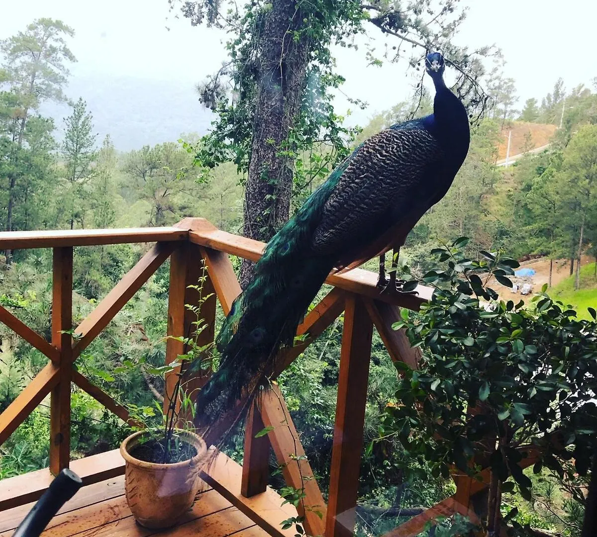 Villa Maya Rancho Eden Jarabacoa